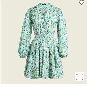 J.Crew Popover Tunic Dress